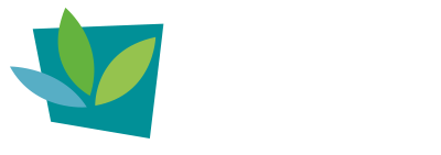 Kiyoi websites - Lyon